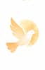 picto colombe saint Esprit